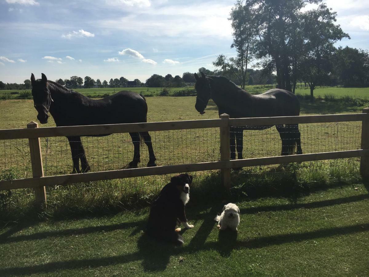 Bed & Breakfast Aan De Leijen Gorredijk